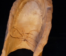 scarpa-in-terracotta